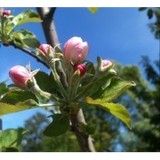 Requisites Gallery - Other in Chesapeake