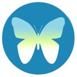 Design Nectar LLC - Web Design & Development in Virginia Beach