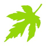 Tree Works - Tree Services in Charlotte