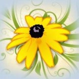 Vermont Wildflower Farm - Other in Charlotte