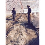 Rock Dust Local LLC - Other in Bridport