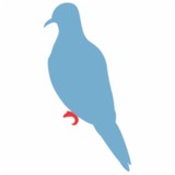 Tourterelle - Restaurants in New Haven