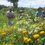Seeds Of Self Reliance Inc - Other in Jeffersonville