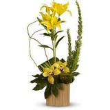 Kathy & CO Flowers - Florists in Burlington