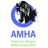 The Amrican Mrgn Horse Association Inc - Other in Shelburne
