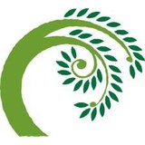 The Willowell Foundation Inc - Other in New Haven