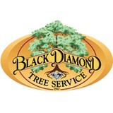 Diamond Black Tree Service Inc - Landscape Architects in Wilmington