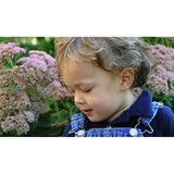 Gillian Randall Photography - Other in Charlotte