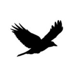 Young Writers Project Inc - Manufacturer in Burlington