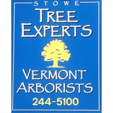 Stowe Tree Experts Inc - Other in Waterbury Center
