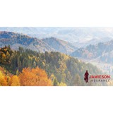 Jamieson Insurance - Insurance in Richmond