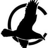 Center For Circumpolar Studies Inc - Other in Saint Johnsbury