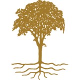 Limbwalker Tree Service - Other in Castleton