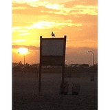 Jeremy Seeger Dulcimers - Musical Instruments & Services in Rochester