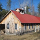 Hutchison Forestry - Business Consulting in Brandon