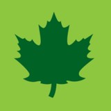 Maple Pro Inc - Other in Saint Albans City