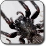 Peak Pest Management LLC - Pest Control in Vancouver