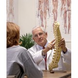 Roberts Carly DC - Chiropractors in Bellevue