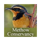 Methow Conservancy - Other in Winthrop