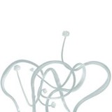 Sheri Cohen - Internal Medicine in Seattle