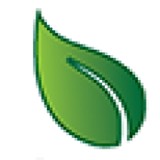GoGreen Landscaping - Landscaping in Kirkland
