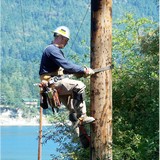 Orcas Power & Light Cooperative - Other in Eastsound