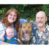 No Worries 4 Pets - Pet Sitting in Bellevue