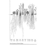 Root Culture Lab LLC - Beer, Wine & Spirits in Seattle
