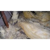 Clear Pest Management - Pest Control in Marysville