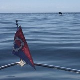 Rainier Yacht Club - Social Clubs in Seattle