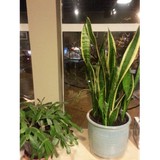 Glow Natural Health Center - Naturopathic/Holistic in Seattle