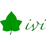 Ivi Inc - Internet Service Providers in Seattle