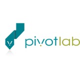 Pivot Lab - Graphic Design in Bellingham