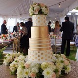 Celebrity Cake Studio - Cafes in Tacoma