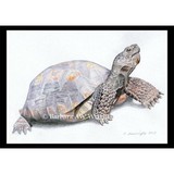 Alcove Art Gallery - Other in Ridgefield