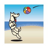 beachdog.com, Inc. - Web Design & Development in Long Beach