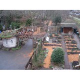 City Farmer - Landscaping in Seattle