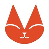 Modernist Cat - Pet Stores in Seattle