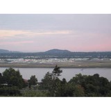 The Daily Insider - Manufacturer in Vancouver