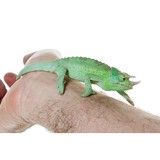 Sierra Fish & Pets Inc - Pet Stores in Kent