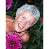 Harmony Yoga - Yoga in Spokane