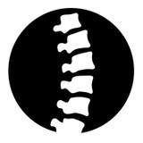Provasoli Chiropractic - Chiropractors in Olympia
