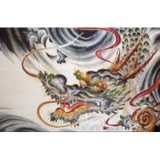 Shibori Dragon - Other in University Place
