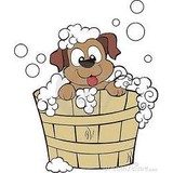 Personal Touch Pet Parlor - Pet Stores in Arlington
