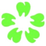 Park Susan DDS - Dentists in Bellevue