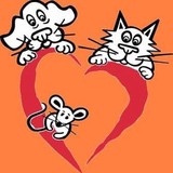 Critter Doctor Animal Hospital, Kirkland, WA - Animal Hospitals in Kirkland