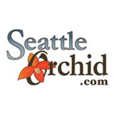 Seattleorchid.com - Florists in Seattle