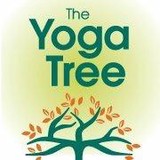 Yoga Tree - Yoga in Seattle