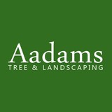 Aadams Landscaping & Restoration, LLC - Tree Services in Woodinville