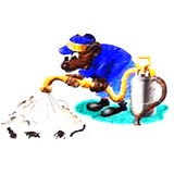Willards Pest Control Co - Pest Control in Yakima